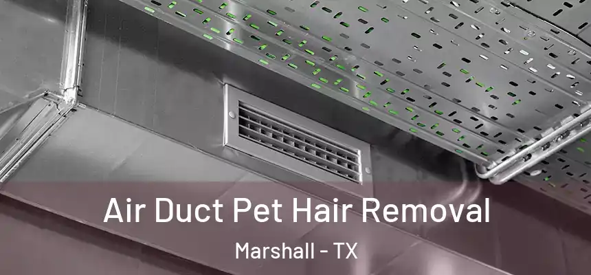  Air Duct Pet Hair Removal Marshall - TX