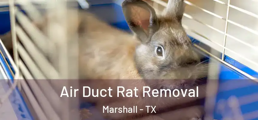  Air Duct Rat Removal Marshall - TX