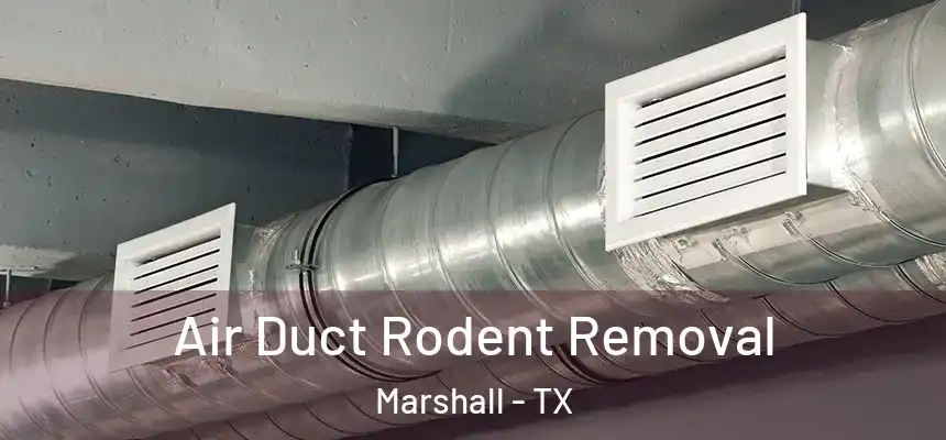  Air Duct Rodent Removal Marshall - TX