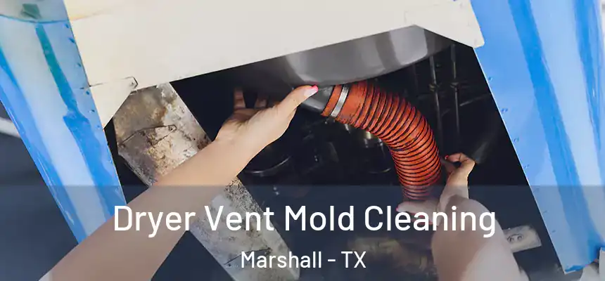  Dryer Vent Mold Cleaning Marshall - TX