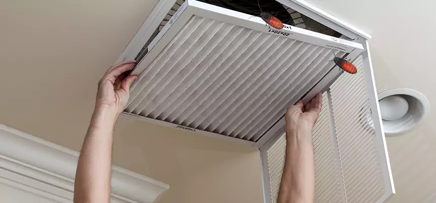 Preventive Cockroach-Proofing for Ducts in Marshall