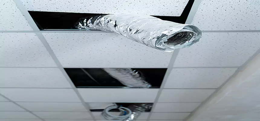 Our Air Duct Pet Hair Removal Services in Marshall, TX