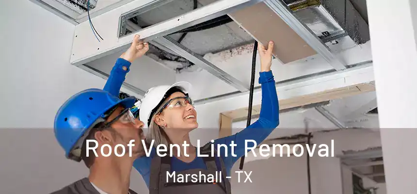  Roof Vent Lint Removal Marshall - TX