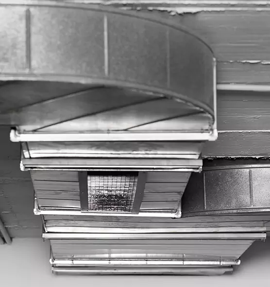 Professional Air Duct Pest Removal in Marshall, TX