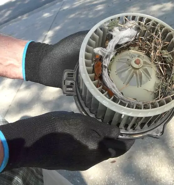 About Air Duct Rat Removal in Marshall, TX