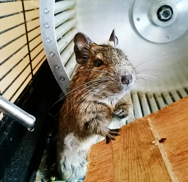 Why Homeowners & Businesses Trust Us Marshall, TX