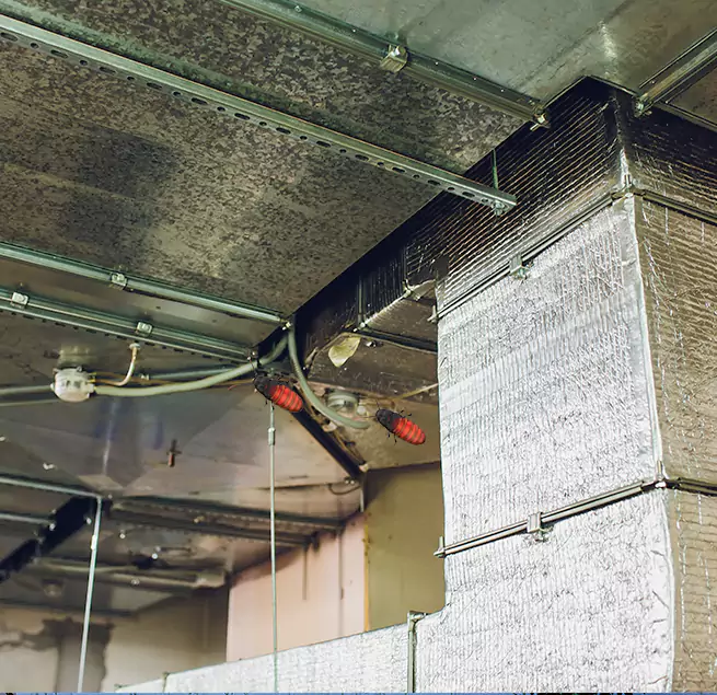 Why Homeowners & Businesses Trust Us Marshall, TX?