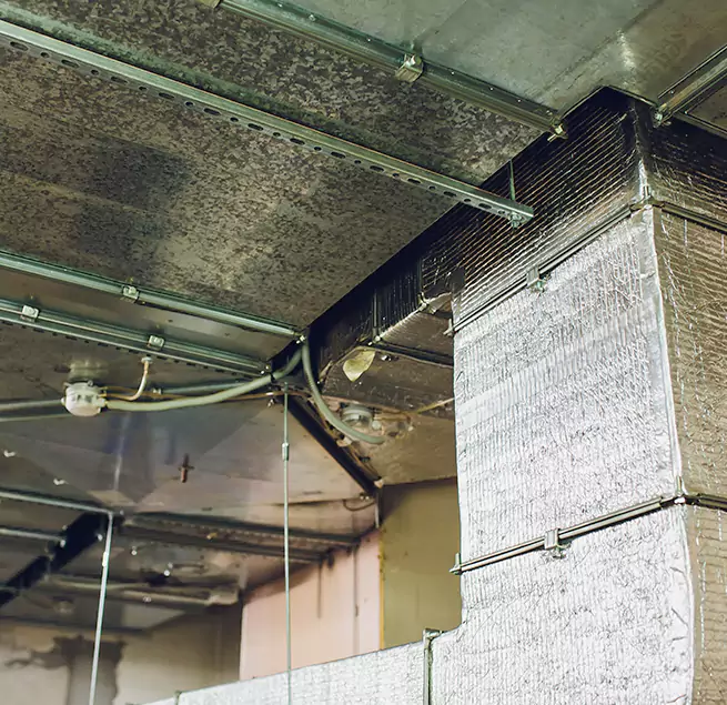 Why Homeowners & Businesses Trust Us in Marshall, TX?